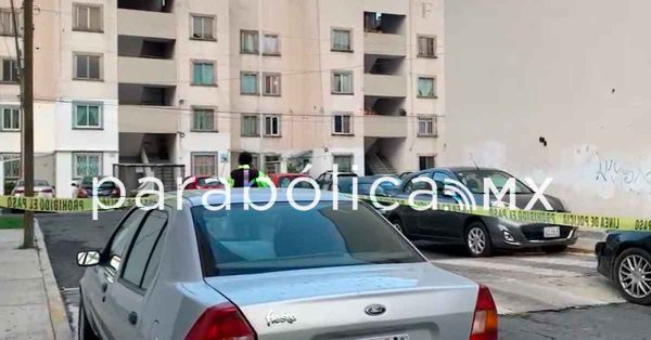 Hallan el cadaver de una mujer en la U.H. Plaza San Pablo