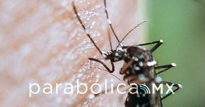 Descarta Salud defunciones por dengue en las últimas 24 horas