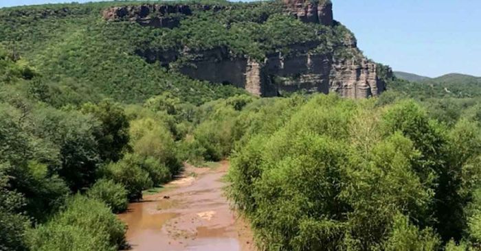 Descarta AMLO dar carpetazo a desastre ambiental en río Sonora