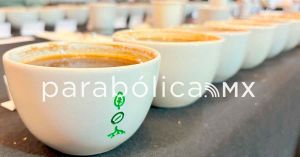 Promueven la tercera subasta virtual de cafe poblano: Calidad en Taza