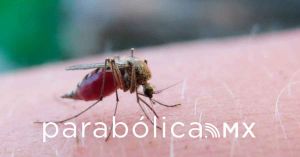 Instala Salud “Comando Jurisdiccional dengue 2024”
