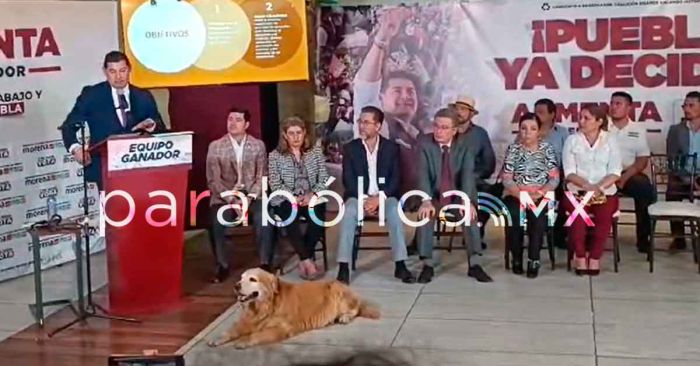 Presenta Armenta sus propuestas para el bienestar animal