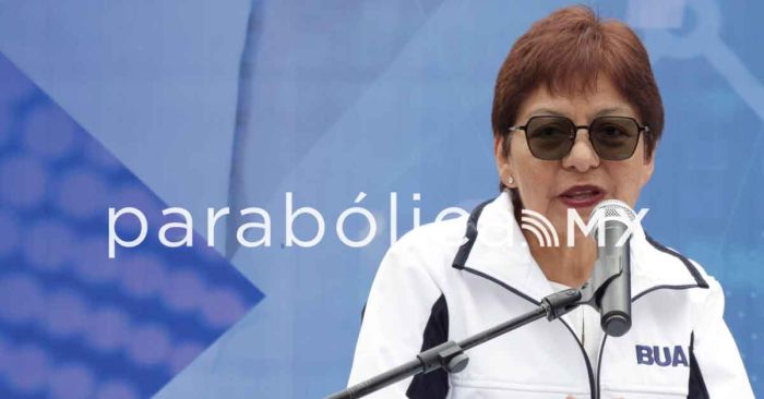 Lilia Cedillo: informe y reelección