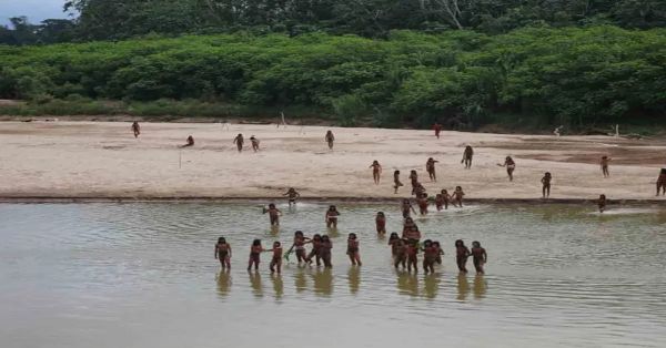 Descubren una tribu aislada del Amazonas emerger de la selva