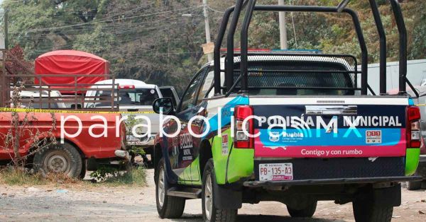 Localizan restos humanos en Bosques de Manzanilla