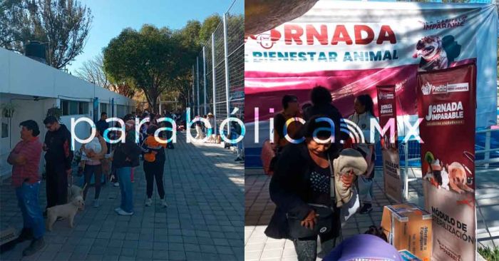 Realizan una Jornada de Bienestar Animal en el Barrio de Xonaca