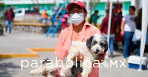 Ofrece Salud vacunación Antirrábica Canina y Felina
