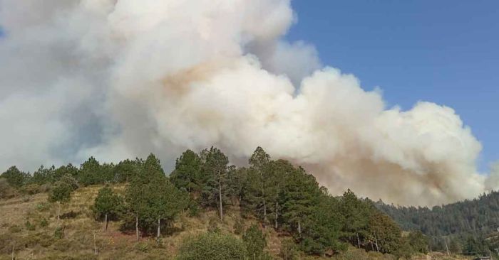 Controlan al 100% incendio en zona de Rancho Viejo, Libres