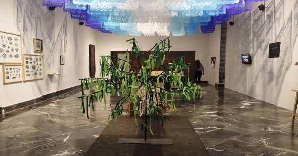 Visita la exposici&oacute;n "Nombrar/ToBe Named&rdquo; en la Galer&iacute;a del Palacio Municipal