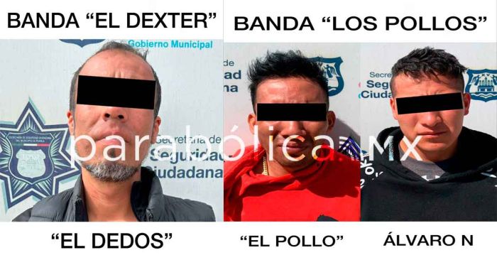 Suman ya nueve los detenidos de la banda criminal “Los Pollos”: SSC