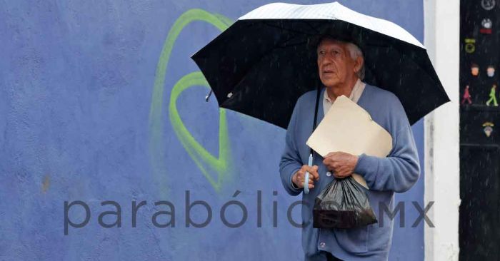 Reporta PC Estatal caída de árboles y derrumbes menores por lluvias