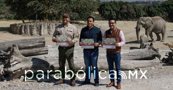 Se suman ayuntamiento y Africam Safari a la Campaña Verde Navidad 2024