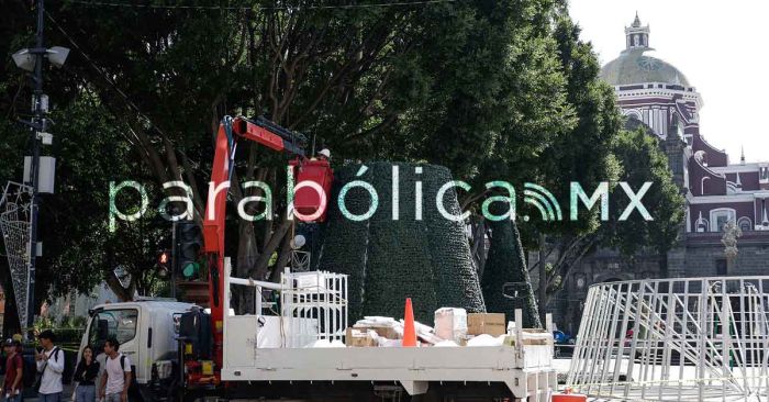 Inicia la colocación del gigantesco árbol de Navidad del Zócalo de Puebla