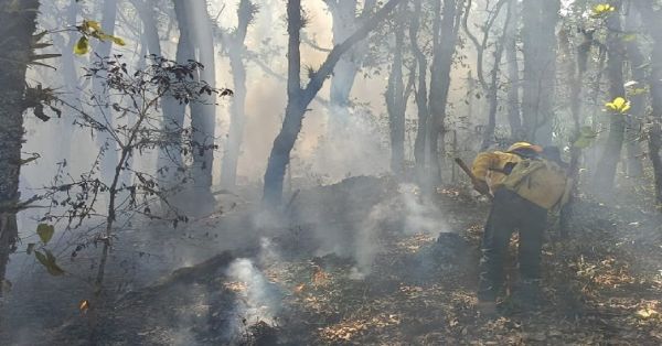 Ocupa Puebla el tercer lugar de estados con más incendios forestales este 2024