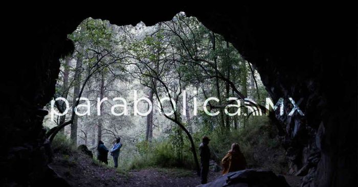 Viajan luciérnagas a Tlahuapan para la &quot;danza del amor&quot;