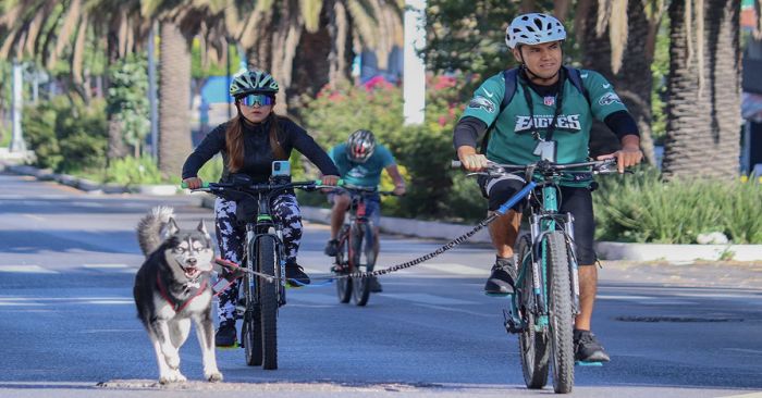 Realizan con éxito la Vía Recreativa Metropolitana