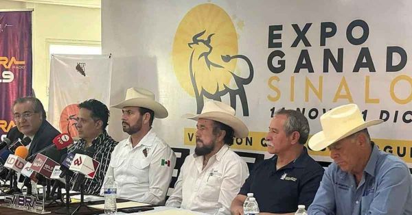 Cancelan Expo Ganadera 2024 en Sinaloa por violencia