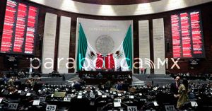 Floreros en el Congreso de la Unión