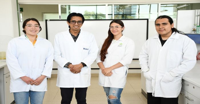 Estudian en la BUAP el nuevo virus del jitomate