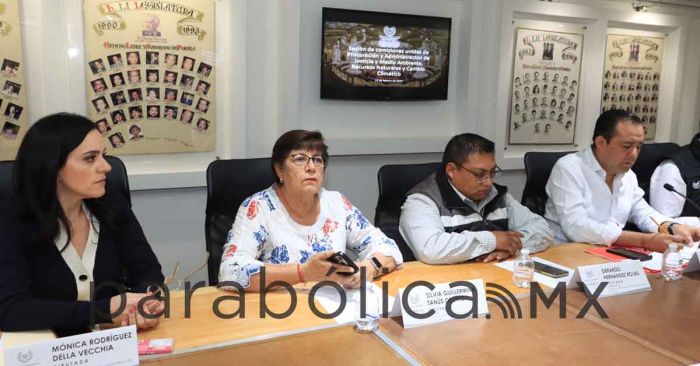 Avanza dictamen para tipificar la zoofilia en Puebla