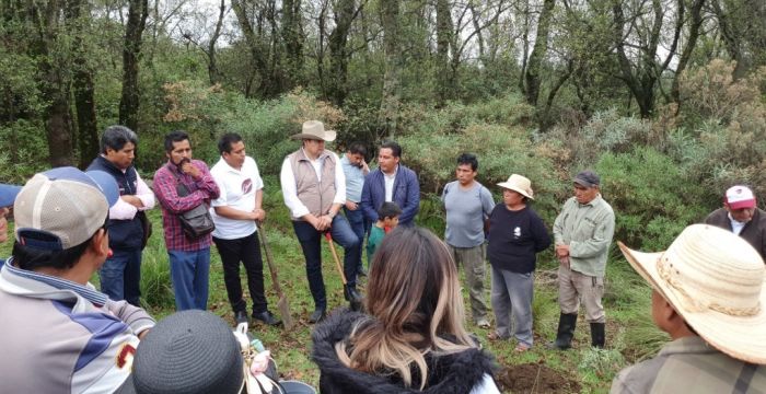 Impulsará Armenta la industrialización del Cáñamo