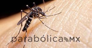 Presencia de dengue en 13 municipios: Salud