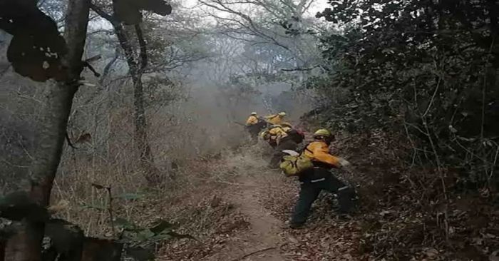 Contabiliza Conafor 25 incendios forestales activos