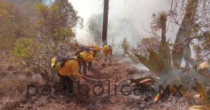 Controlan incendio en Ixtacamaxtitlán: Medio Ambiente