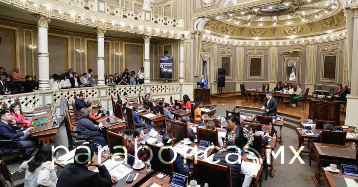 Polariza al Congreso definición en Venustiano Carranza y Chignahuapan