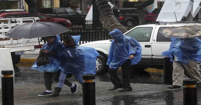 Reportan diversos daños por lluvias en Chihuahua