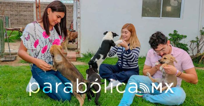 Será protección animal una realidad en Puebla: Armenta