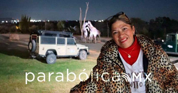 Traslado de la jirafa Benito, el más mediático que hemos hecho: TRANSDYM