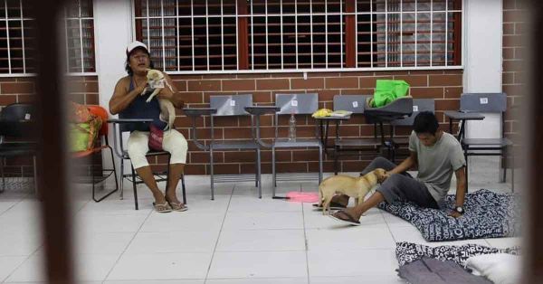 Resguardan a perritos por huracán Beryl