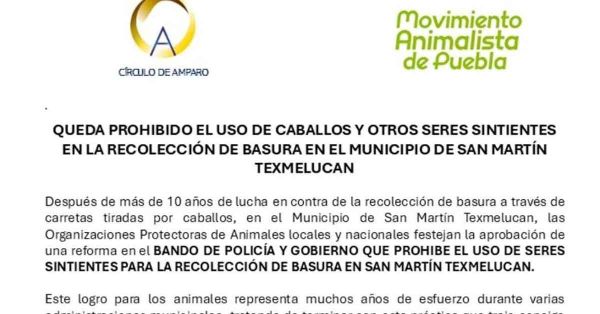 Prohíben en Texmelucan uso de seres sintientes para recolección de basura