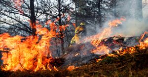 Pide la CONAFOR a la poblaci&oacute;n civil a no combatir incendios forestales