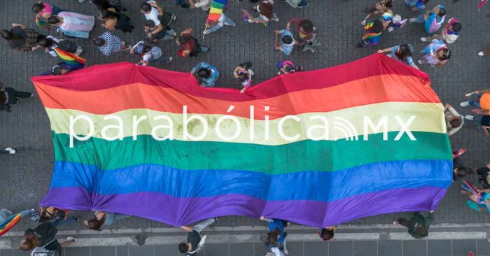 Incurren terapias de conversi&oacute;n en tortura: Emmanuel Melchor&nbsp;