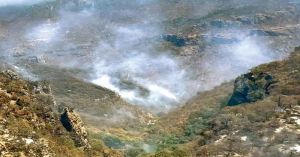 Arrasa incendio con  m&aacute;s de 4 mil hect&aacute;reas