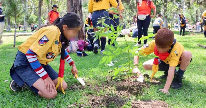 Se suma DIF Estatal a jornada de reforestación en Los Fuertes