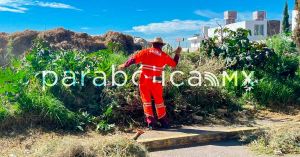 Realiza Limpia municipal chapeo y barrido en colonia Santa Margarita