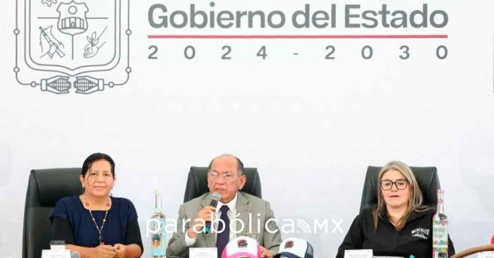 Se frenó brote de virus Coxsackie en escuelas de Izúcar y Puebla capital: Segob