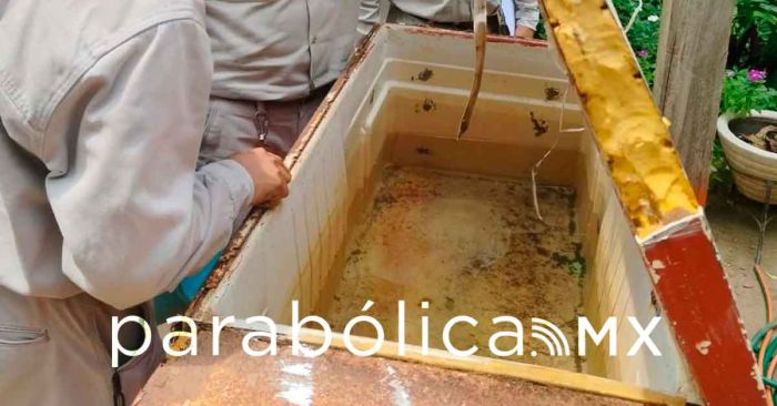 Refuerzan autoridades de Oaxaca acciones contra el dengue &nbsp;