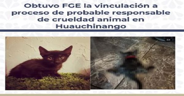Detienen a Abraham Emigdio N., agredió a un gatito y lo mató
