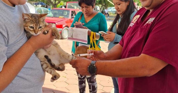 Promueven en Cuautlancingo tenencia responsable n seres sintientes