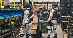 Detienen a 278 personas y aseguran m&aacute;s de 700 kilos de droga por programa Plan Michoac&aacute;n por la Paz