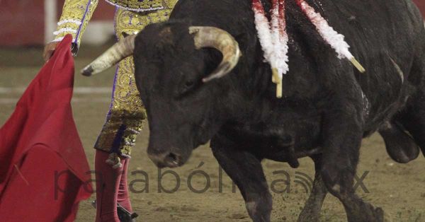 Cancelan corrida de toros en Tlalchichuca