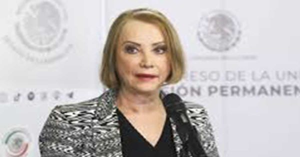 Alista Senado "intensa semana" para la vida democr&aacute;tica: Castillo Ju&aacute;rez
