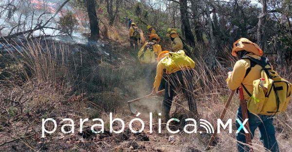 Combate Gobierno estatal 301 incendios forestales en 5 meses