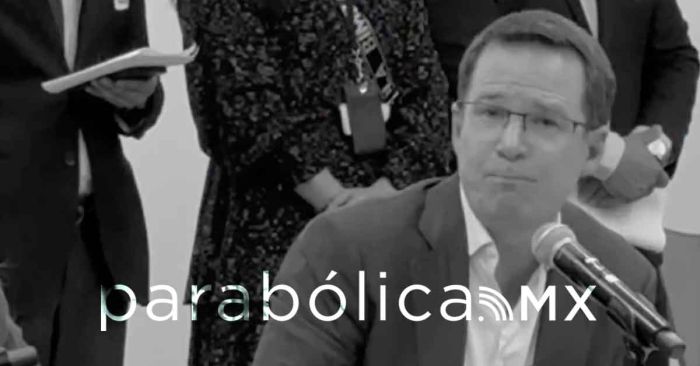 Es Ricardo Anaya un prófugo de la justicia con fuero: Luisa Alcalde
