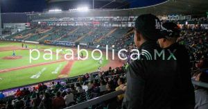 Consolidación del vuelo