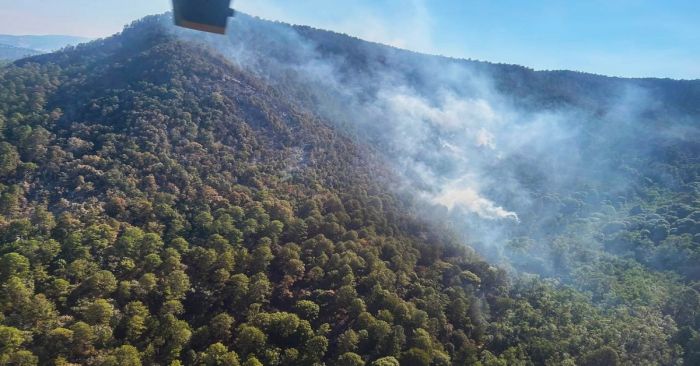 Controlan incendio en el Santuario de la Mariposa Monarca en Michoacán